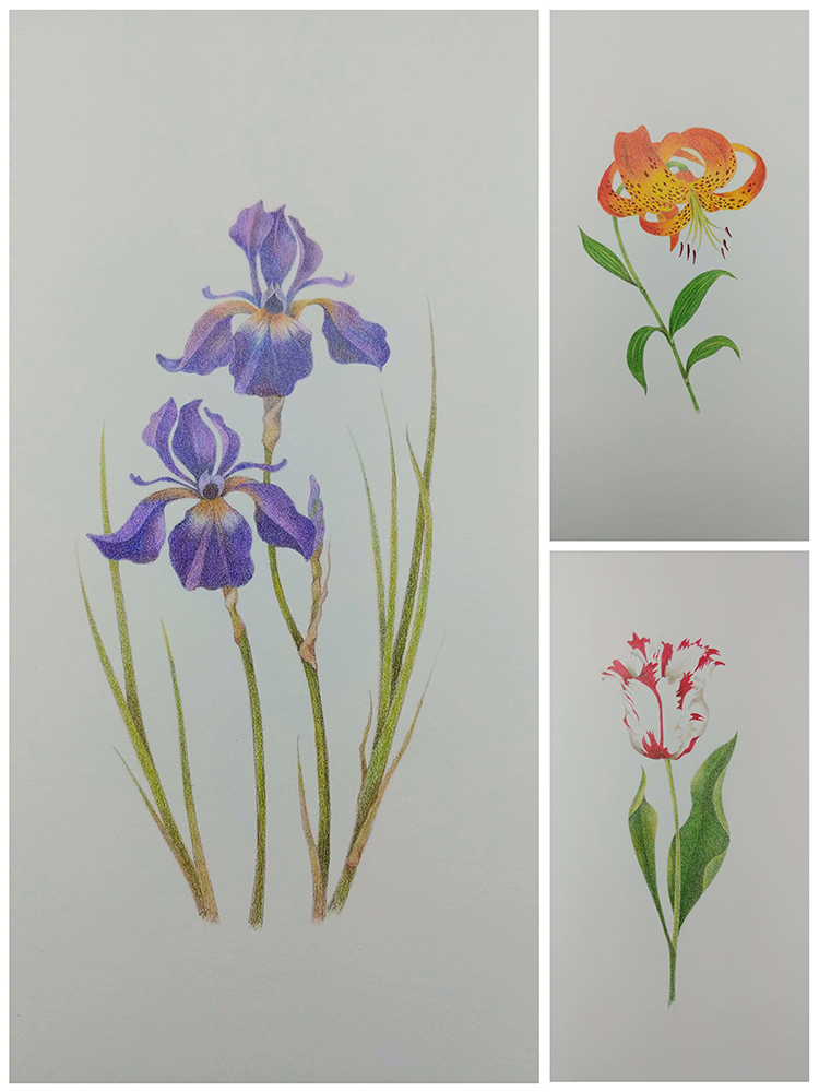 Nance-Floral-Collage